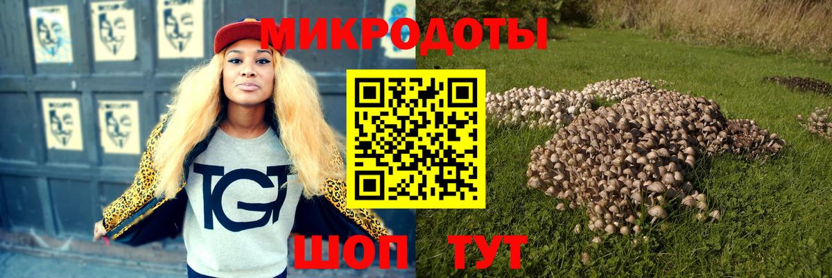 Псилоцибиновые грибы мухоморы Елизово